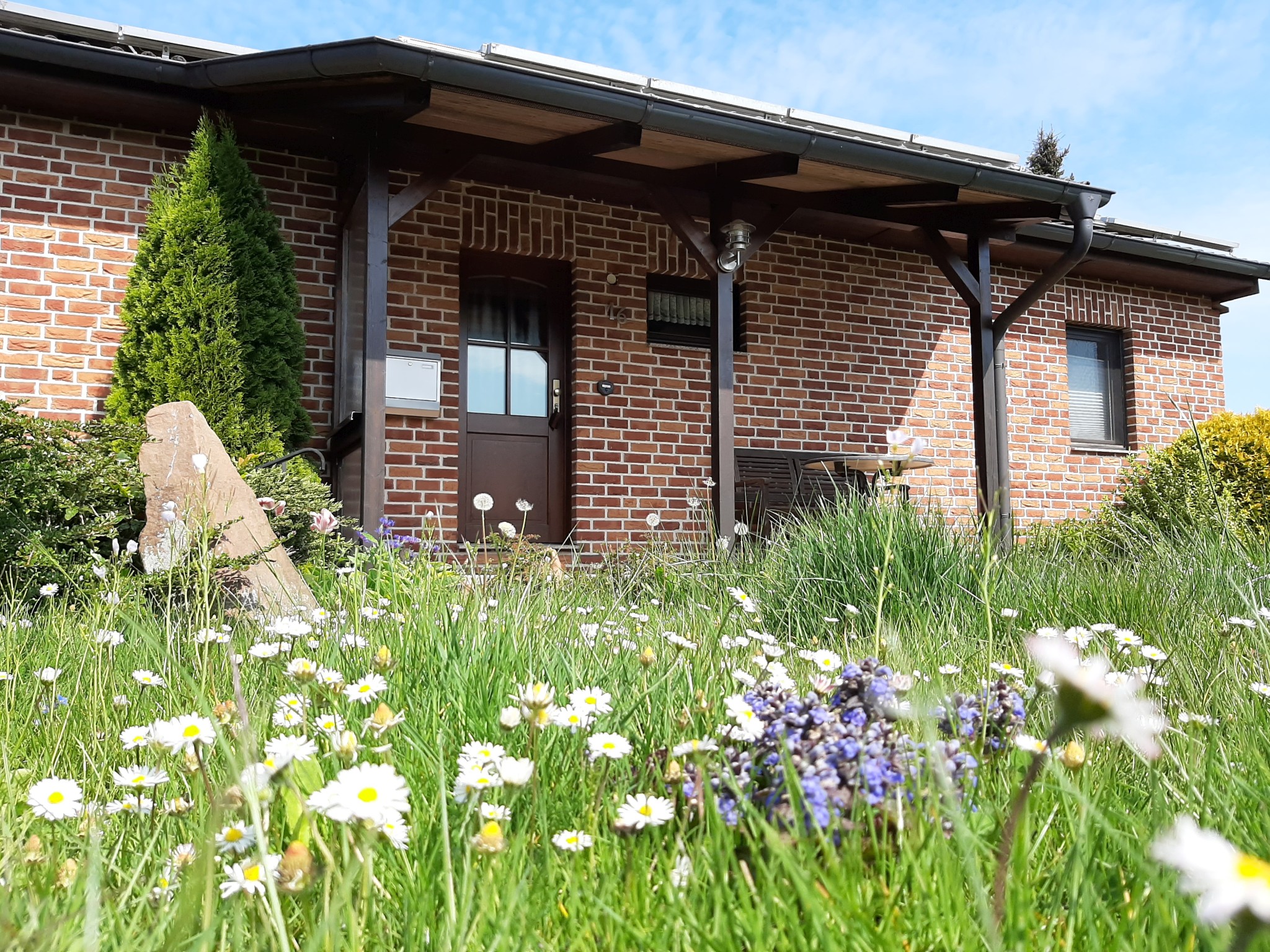 Ferienhaus verwildert